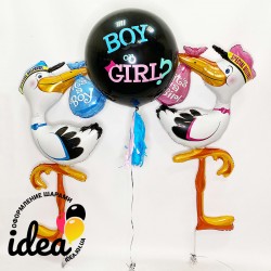 Шар Boy or Girl? и аисты