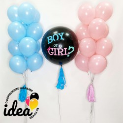 Куля Boy or Girl? та рожево-блакитні кулі